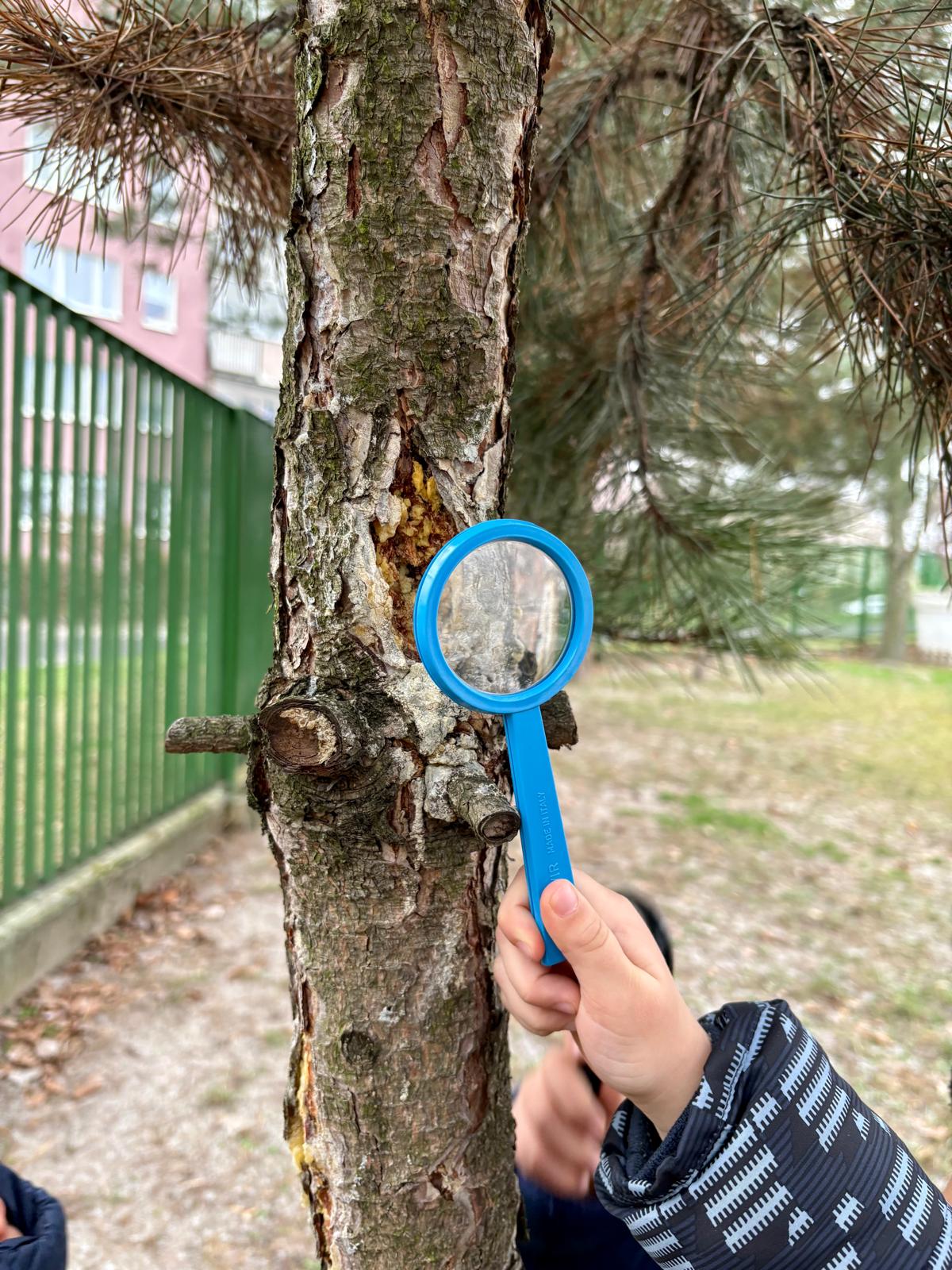 Galeria - Przedszkole 390 w Warszawie